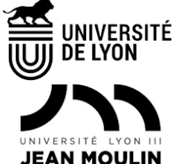 Jean Moulin Lyon 3 University